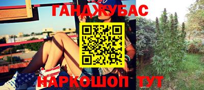 стаф Тверь