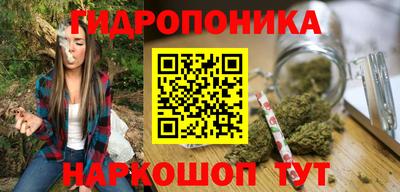 стаф Тверь